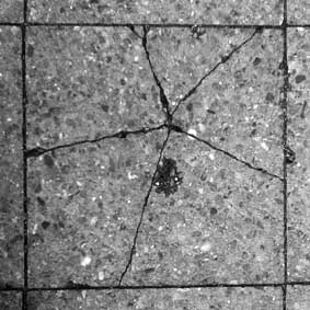 Plattenpicasso Bltenmuster 010413